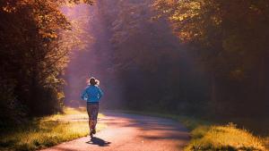 duurzame inzetbaarheid en verzuimpreventie